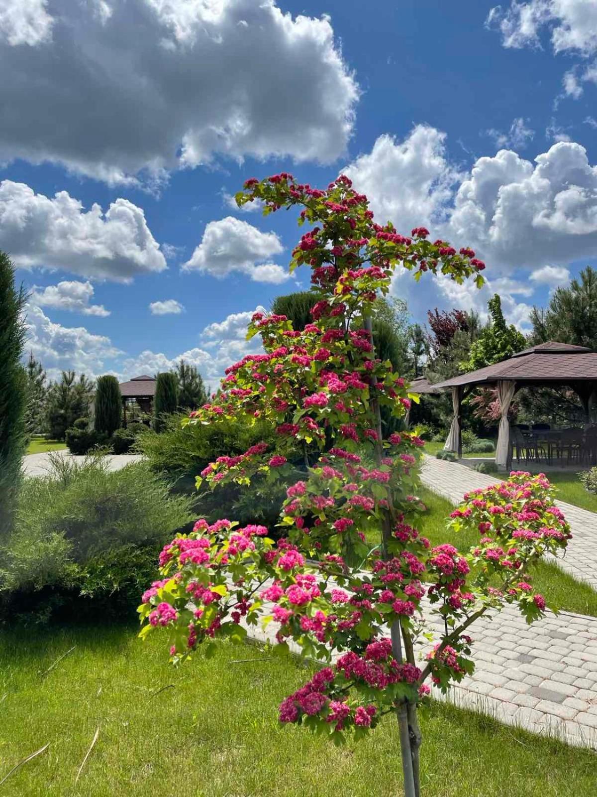 Ostrov River Club Novoselovka  외부 사진